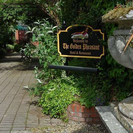 Golden Pheasant Country Hotel Llangollen Exteriér fotografie